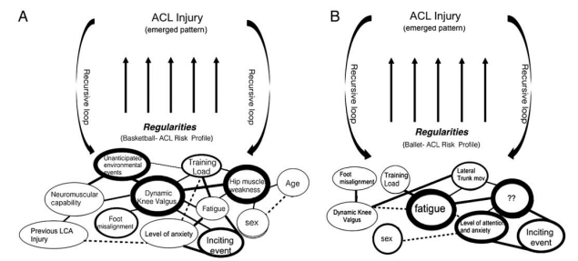 La lesión de LCA es una causa MULTIFACTORIAL. PARTE 2: Un sistema&nbsp;complejo.